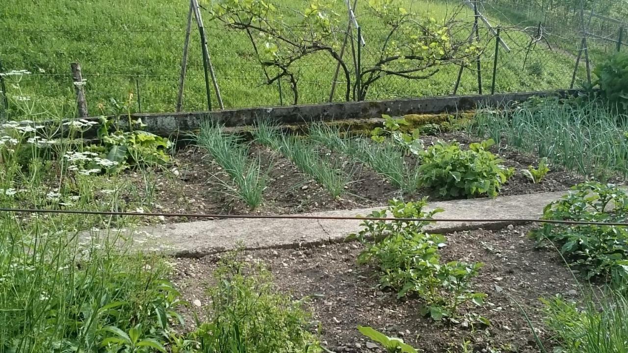 Ferme Familiale Chez Lili Villa Alex Екстериор снимка